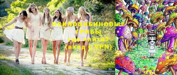 ПСИЛОЦИБИНОВЫЕ ГРИБЫ Абинск